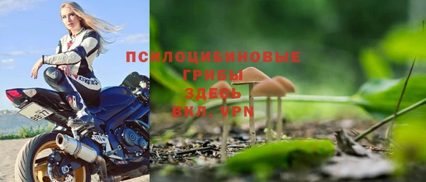 первитин Заволжье