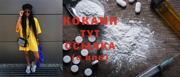 mdpv Заводоуковск