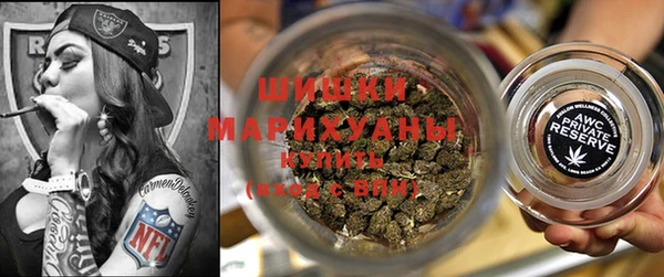 mdpv Заводоуковск